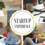 startup experience